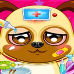 Kids Animal Doctor