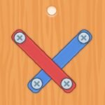 Nuts Bolts Screw Puzzle