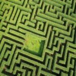 The Mazes of Infinity